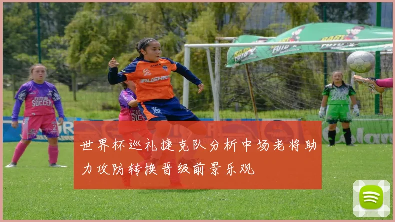 世界杯巡礼捷克队分析中场老将助力攻防转换晋级前景乐观