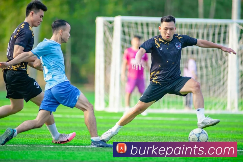 App功能展示图